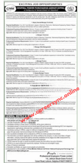 Central Power Purchasing Agency CPPA Jobs in 2024 Apply Online Now