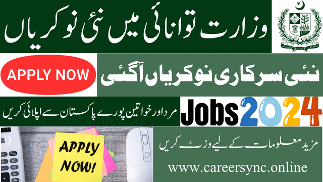 Ministry of Energy Power Division NEECA Jobs in 2024 Apply Online Now