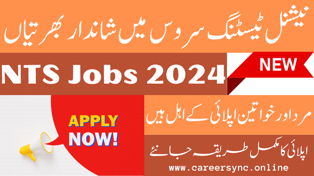 National Testing Service NTS Jobs in Punjab 2024 Apply Now Online