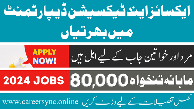 Punjab Excise and Taxation Foundation Jobs in 2024 Apply Online Now
