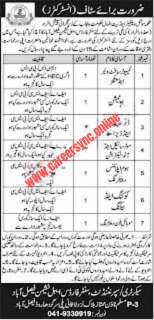 Social Welfare and Bait ul Mal Latest Jobs in 2024 Apply Online Today