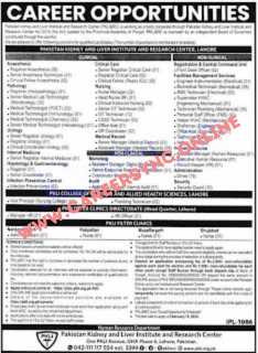Latest PKLI Jobs in Lahore in 2024 Apply Online Now