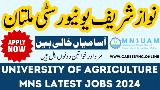 University of Agriculture MNS Latest Jobs Multan in 2024 Apply Online Now